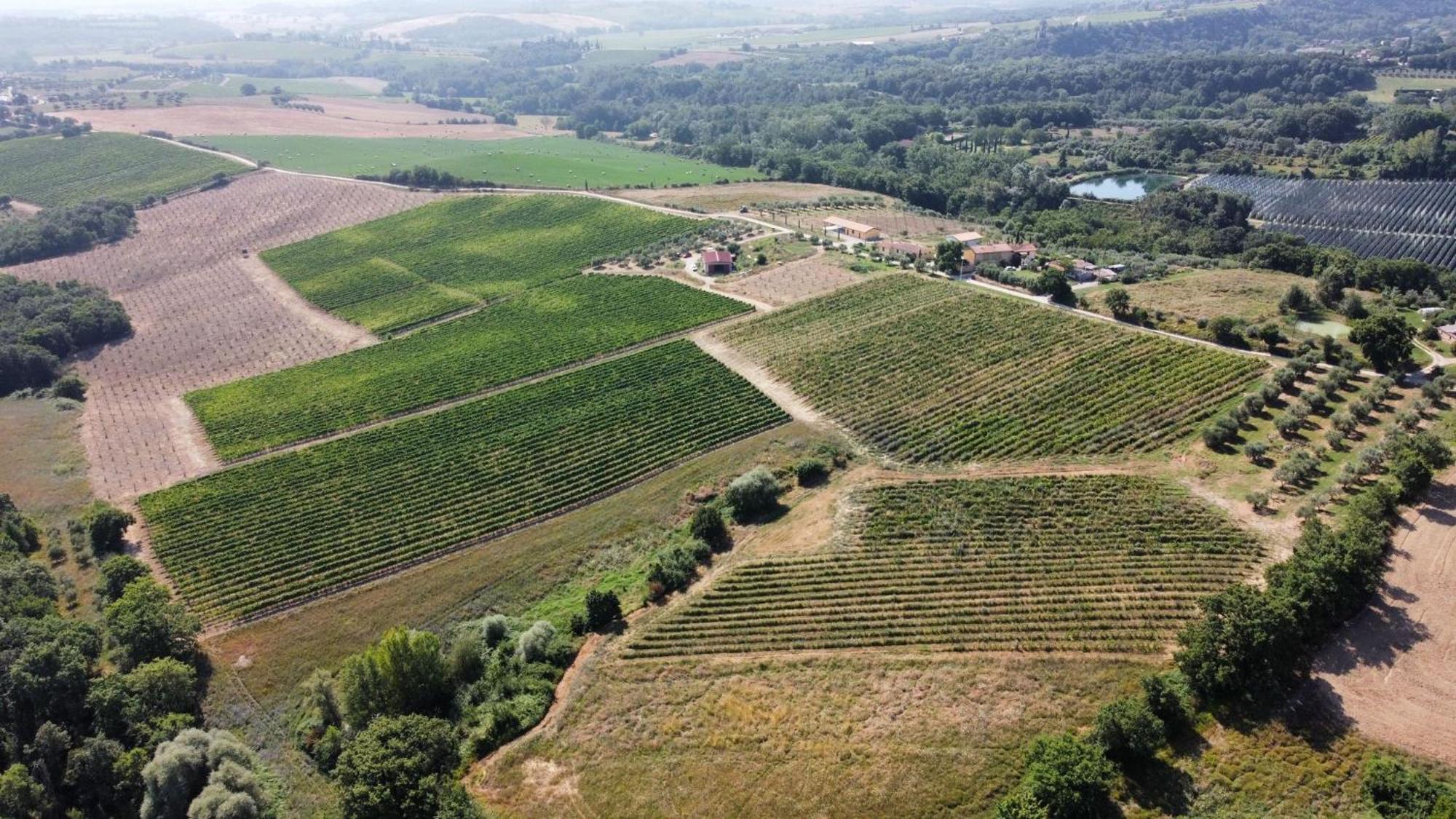 Agriturismo Podere Casa Al Vento Montepulciano Zewnętrze zdjęcie