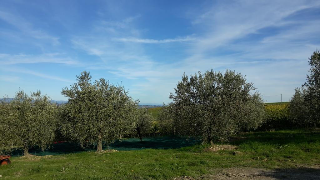 Agriturismo Podere Casa Al Vento Montepulciano Zewnętrze zdjęcie