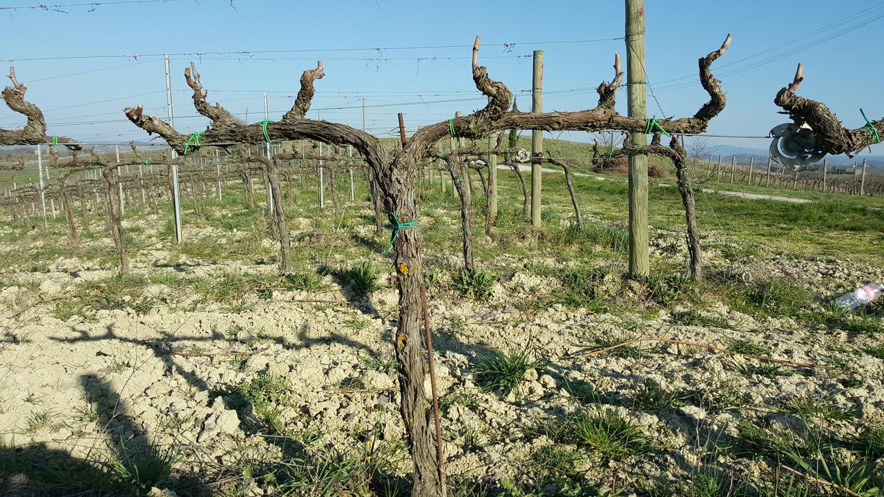 Agriturismo Podere Casa Al Vento Montepulciano Zewnętrze zdjęcie