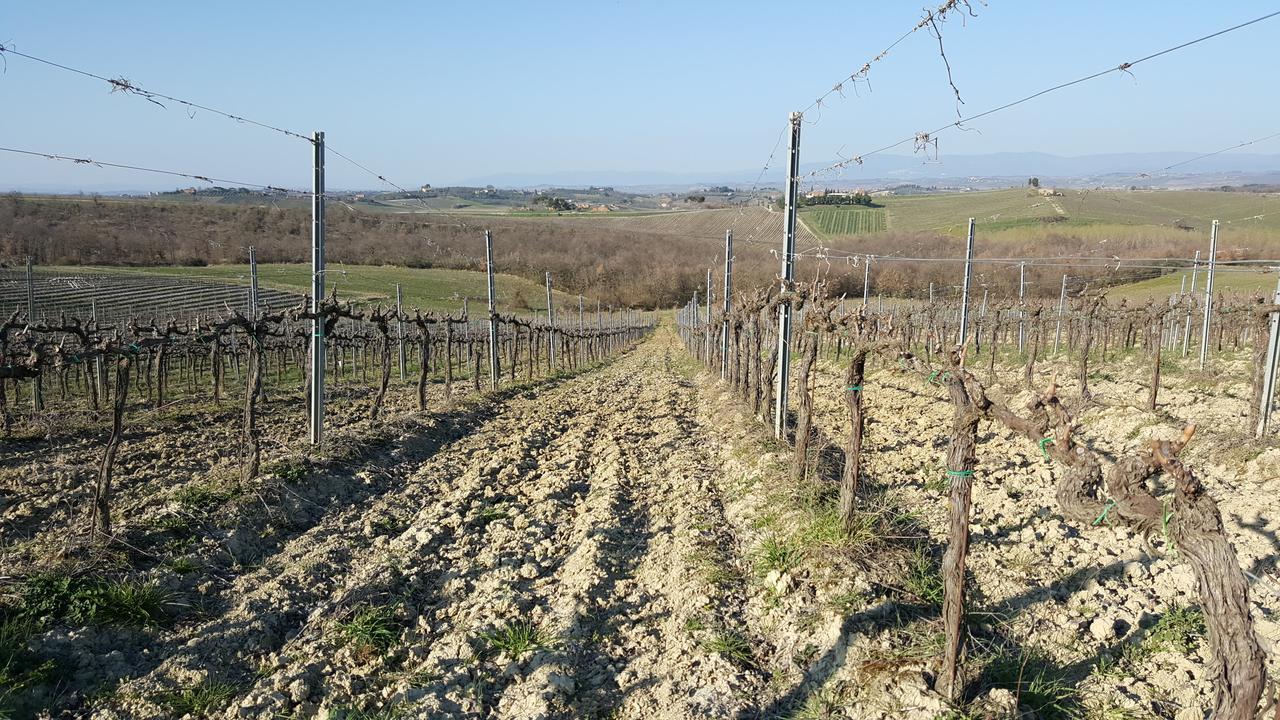 Agriturismo Podere Casa Al Vento Montepulciano Zewnętrze zdjęcie