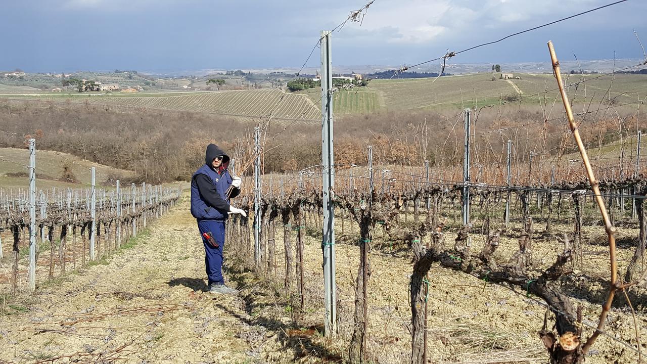 Agriturismo Podere Casa Al Vento Montepulciano Zewnętrze zdjęcie